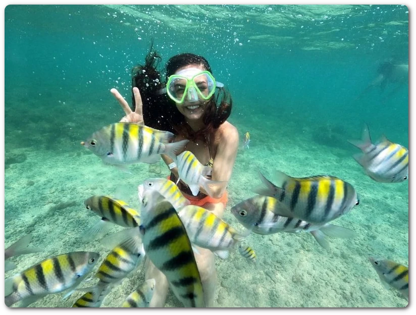 Moça mergulhando com os peixinhos na piscina natural de picãozinho